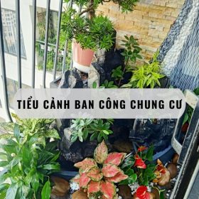 99+ mẫu tiểu cảnh ban công chung cư đẹp, độc đáo